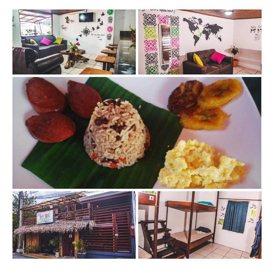 Passifloras Hostel Quepos Esterno foto